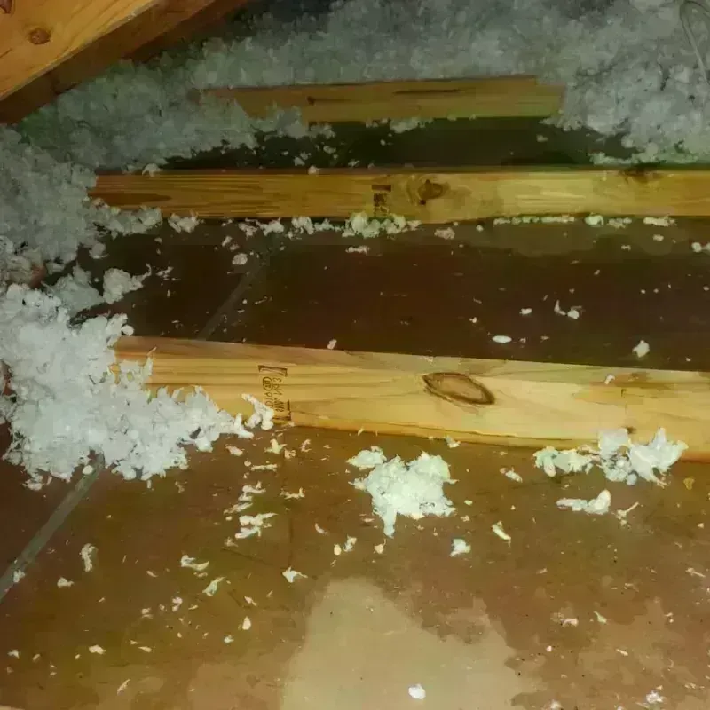 Attic Water Damage in Rapid City, MI