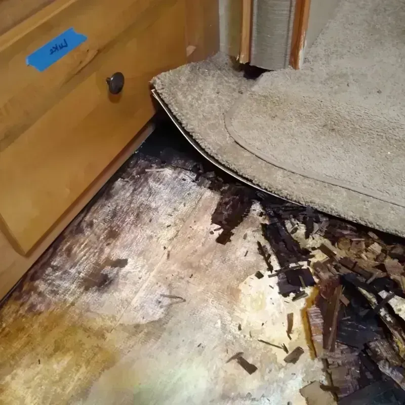 Wood Floor Water Damage in Rapid City, MI